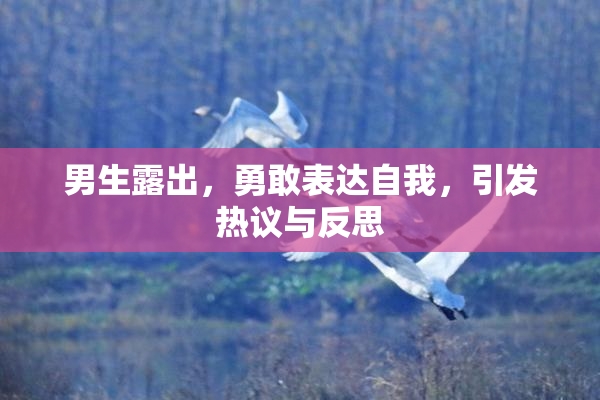男生露出，勇敢表达自我，引发热议与反思