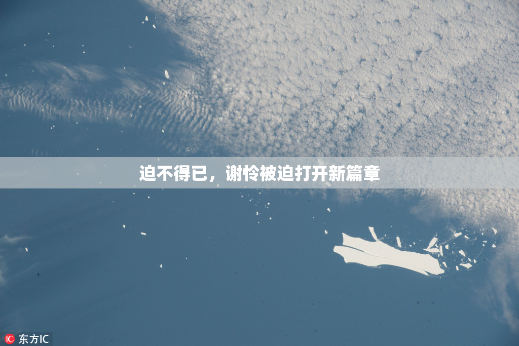 迫不得已，谢怜被迫打开新篇章