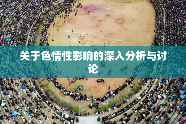 关于色情性影响的深入分析与讨论