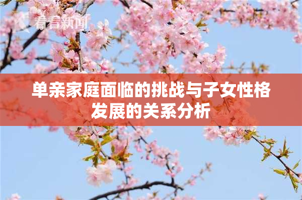 单亲家庭面临的挑战与子女性格发展的关系分析