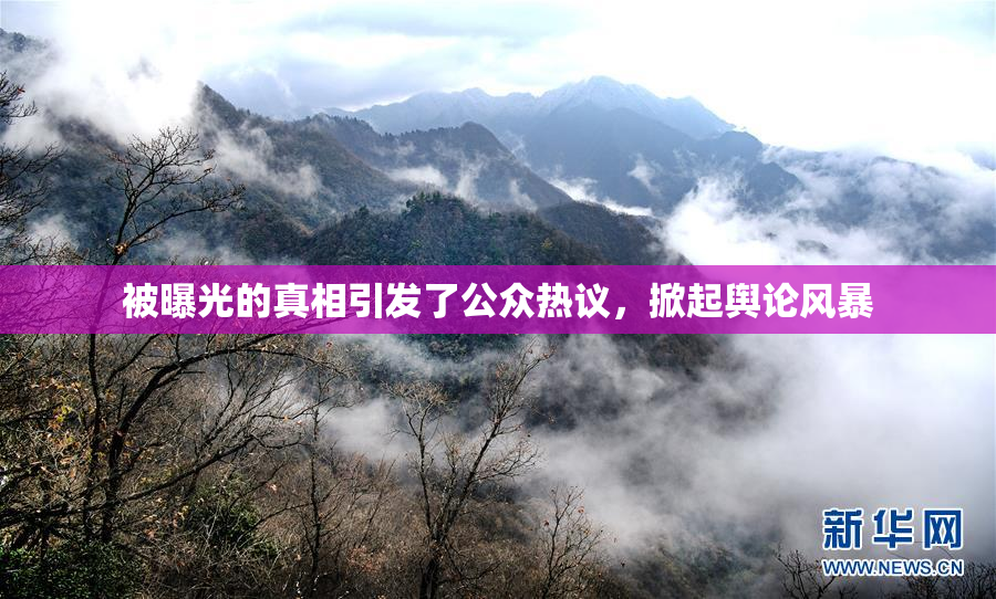 被曝光的真相引发了公众热议，掀起舆论风暴