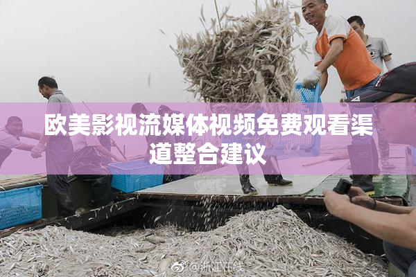 欧美影视流媒体视频免费观看渠道整合建议