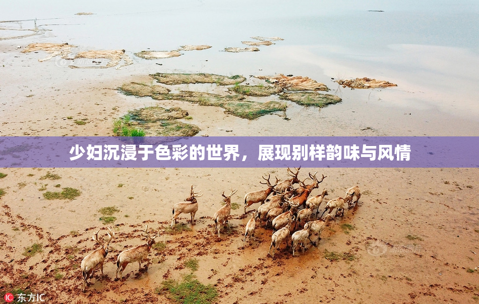 少妇沉浸于色彩的世界，展现别样韵味与风情