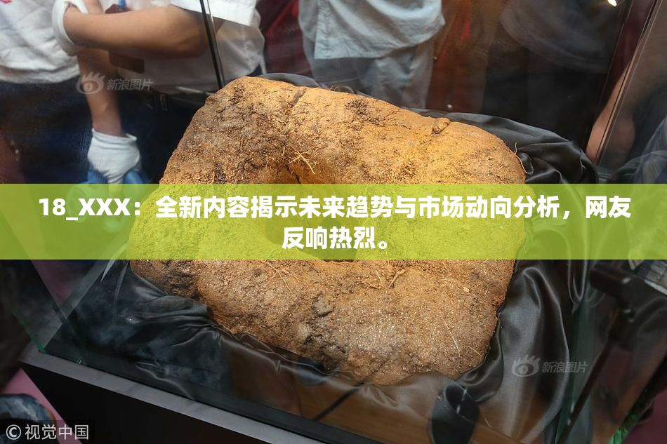 18_XXX：全新内容揭示未来趋势与市场动向分析，网友反响热烈。
