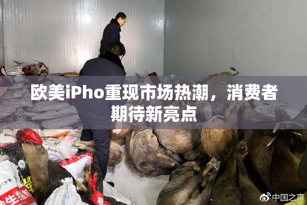 欧美iPho重现市场热潮，消费者期待新亮点