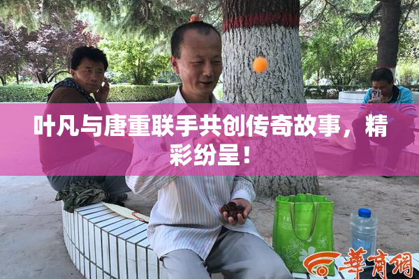 叶凡与唐重联手共创传奇故事，精彩纷呈！