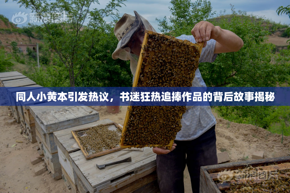 同人小黄本引发热议，书迷狂热追捧作品的背后故事揭秘
