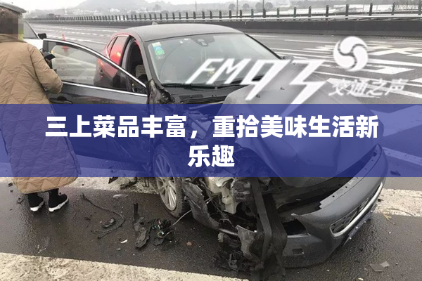 三上菜品丰富，重拾美味生活新乐趣