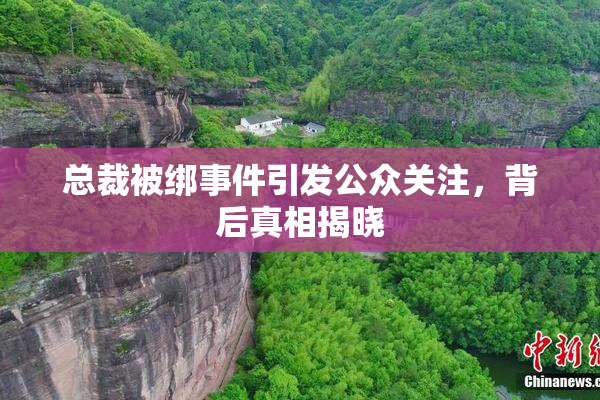 总裁被绑事件引发公众关注，背后真相揭晓