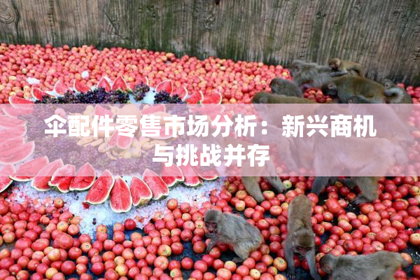 伞配件零售市场分析：新兴商机与挑战并存