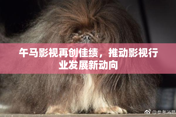 午马影视再创佳绩，推动影视行业发展新动向