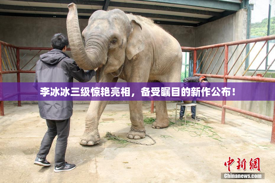 李冰冰三级惊艳亮相，备受瞩目的新作公布！