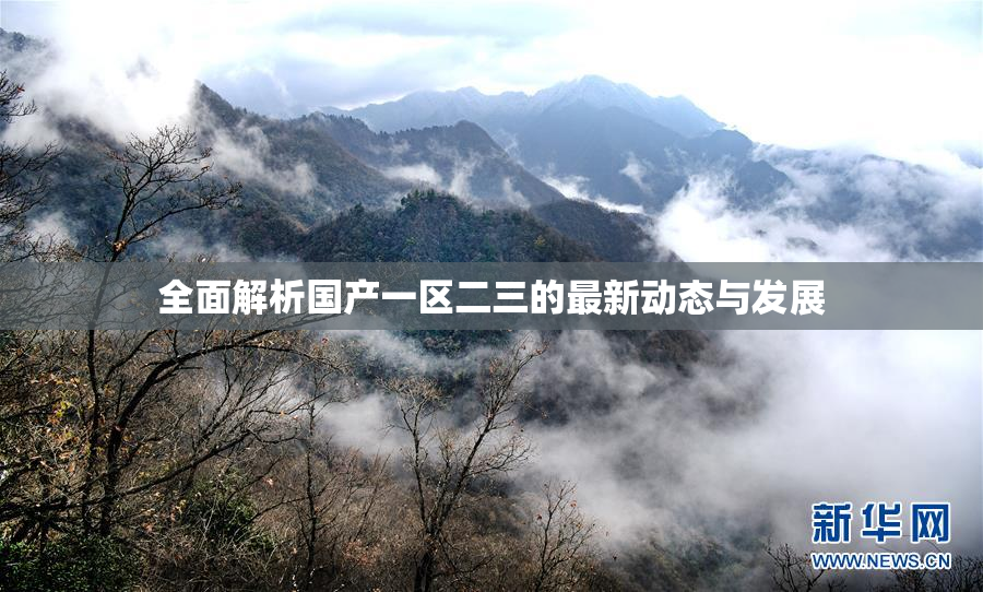 全面解析国产一区二三的最新动态与发展