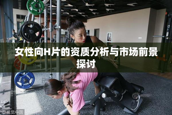 女性向H片的资质分析与市场前景探讨
