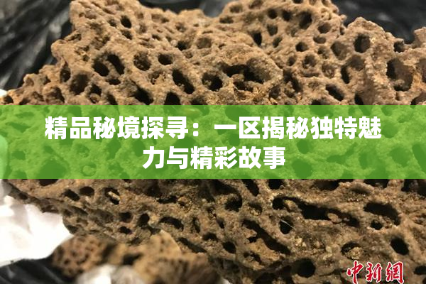 精品秘境探寻：一区揭秘独特魅力与精彩故事