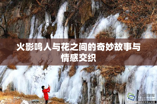 火影鸣人与花之间的奇妙故事与情感交织