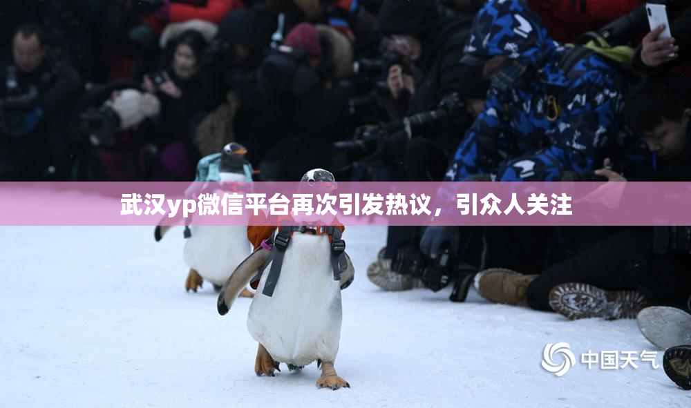 武汉yp微信平台再次引发热议，引众人关注