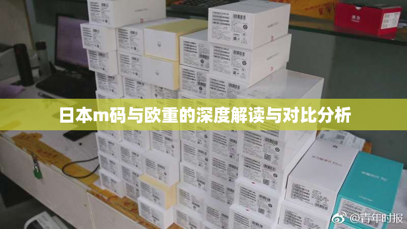 日本m码与欧重的深度解读与对比分析