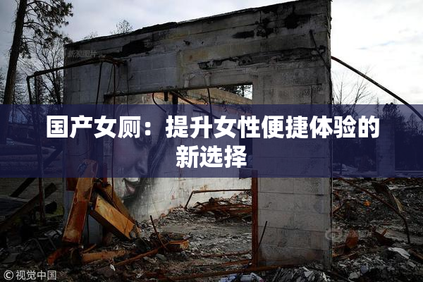 国产女厕：提升女性便捷体验的新选择