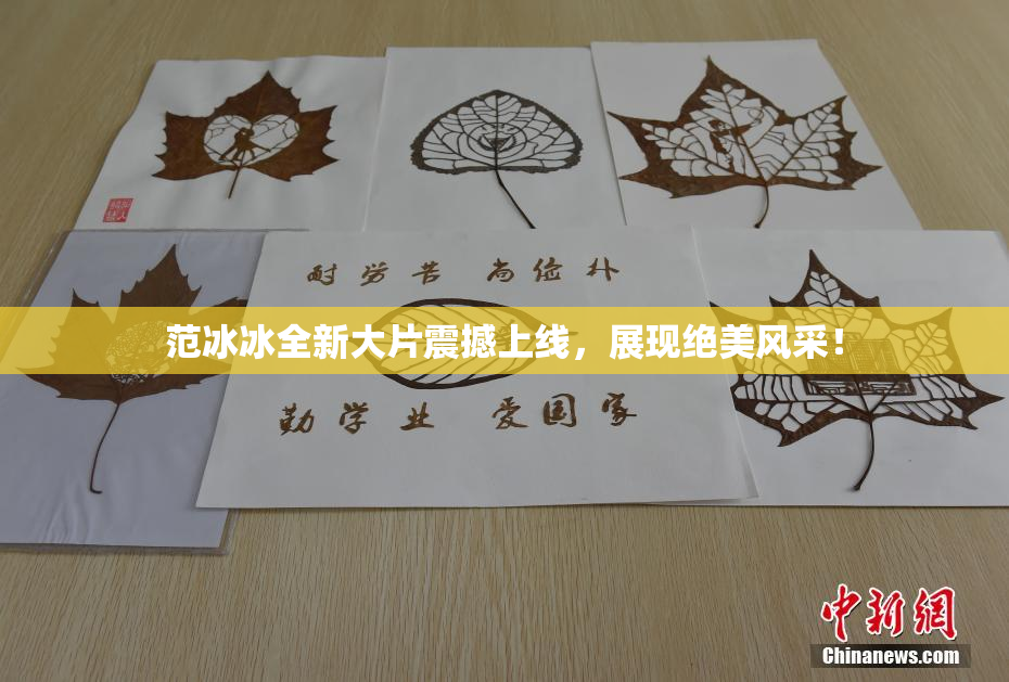 范冰冰全新大片震撼上线，展现绝美风采！