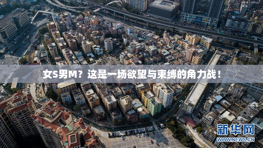 女S男M？这是一场欲望与束缚的角力战！