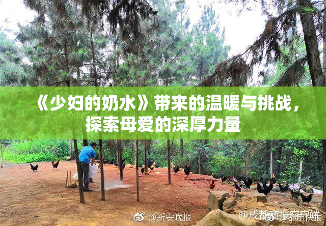 《少妇的奶水》带来的温暖与挑战，探索母爱的深厚力量