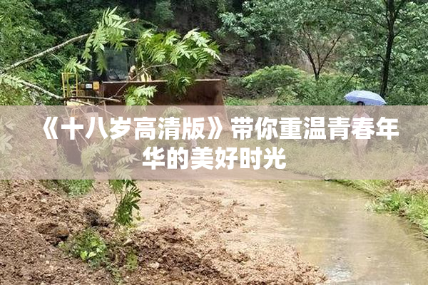 《十八岁高清版》带你重温青春年华的美好时光