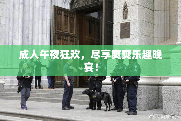 成人午夜狂欢，尽享爽爽乐趣晚宴！