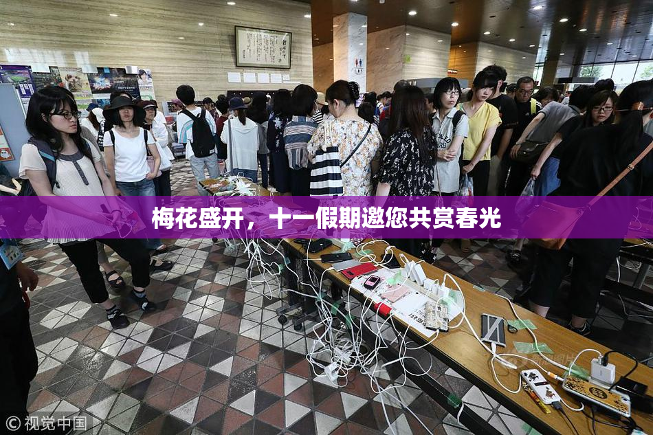 梅花盛开，十一假期邀您共赏春光