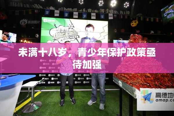 未满十八岁，青少年保护政策亟待加强