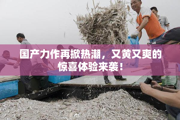 国产力作再掀热潮，又黄又爽的惊喜体验来袭！