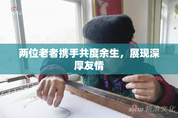 两位老者携手共度余生，展现深厚友情