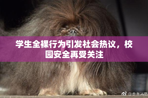 学生全裸行为引发社会热议，校园安全再受关注