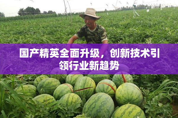 国产精英全面升级，创新技术引领行业新趋势