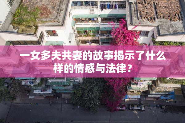 一女多夫共妻的故事揭示了什么样的情感与法律？