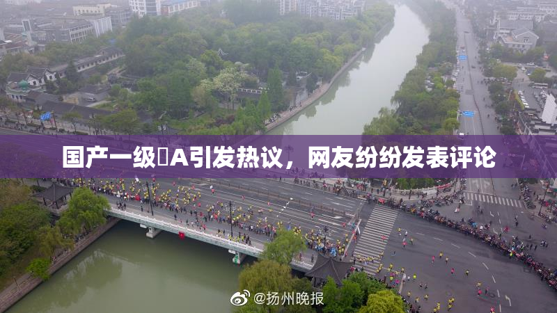 国产一级婬A引发热议，网友纷纷发表评论