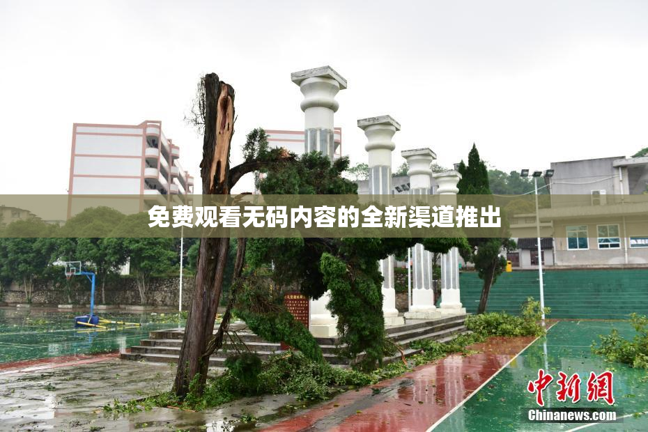 免费观看无码内容的全新渠道推出