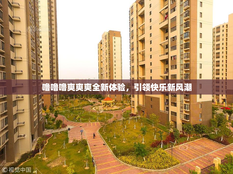 噜噜噜爽爽爽全新体验，引领快乐新风潮