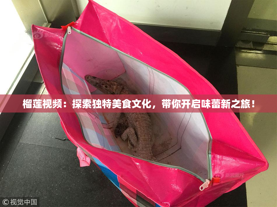 榴莲视频：探索独特美食文化，带你开启味蕾新之旅！