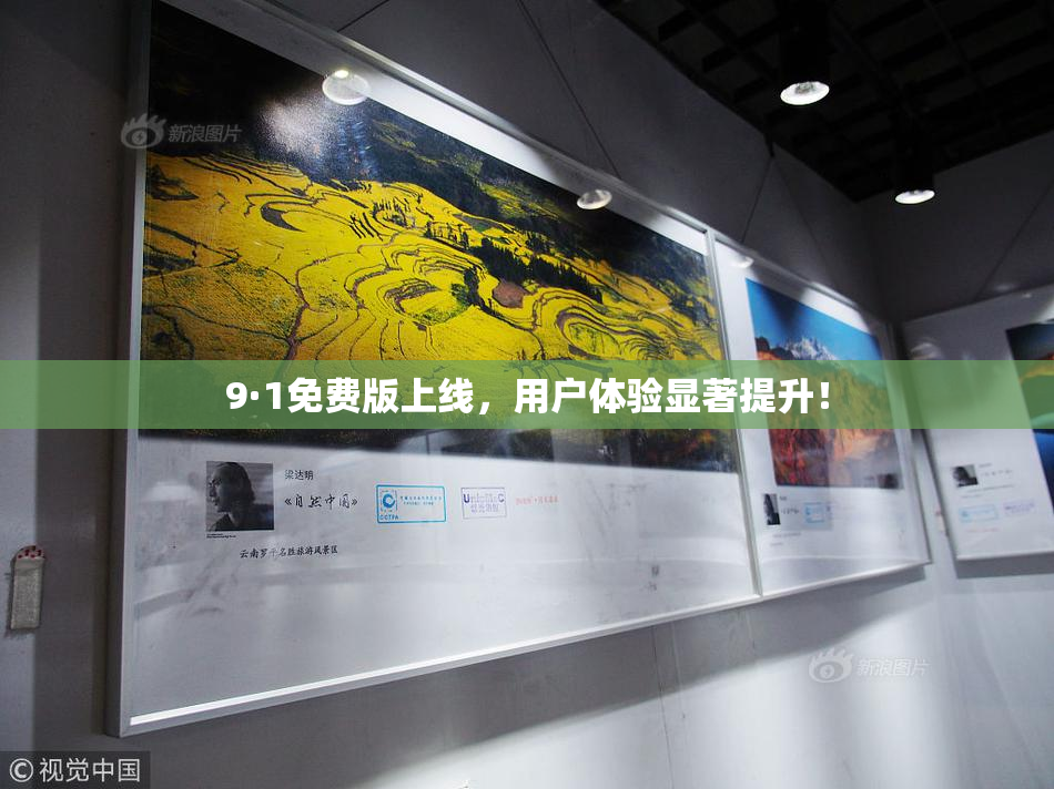9·1免费版上线，用户体验显著提升！