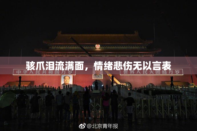 骇爪泪流满面，情绪悲伤无以言表