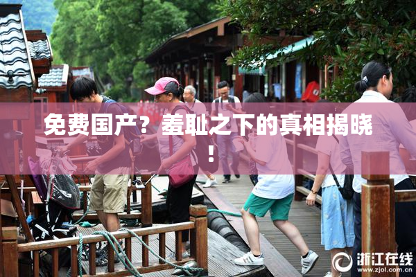 免费国产？羞耻之下的真相揭晓！