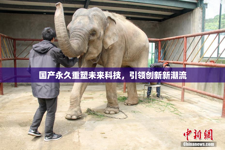 国产永久重塑未来科技，引领创新新潮流