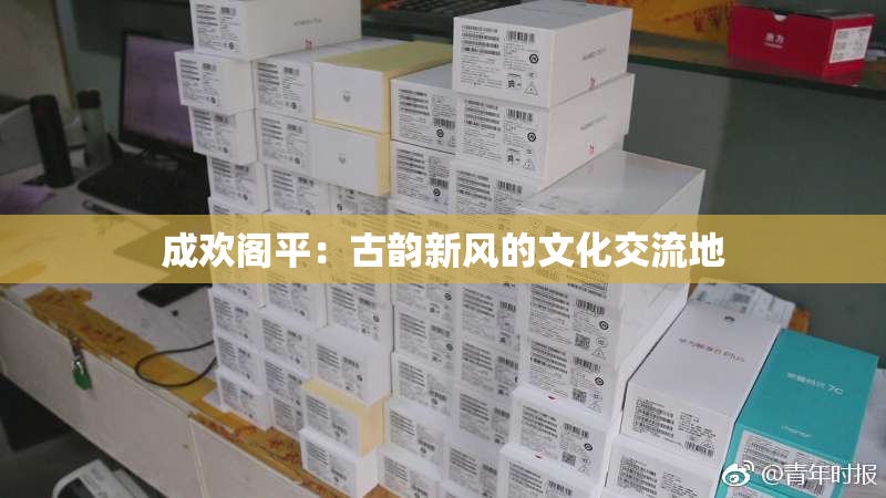 成欢阁平：古韵新风的文化交流地