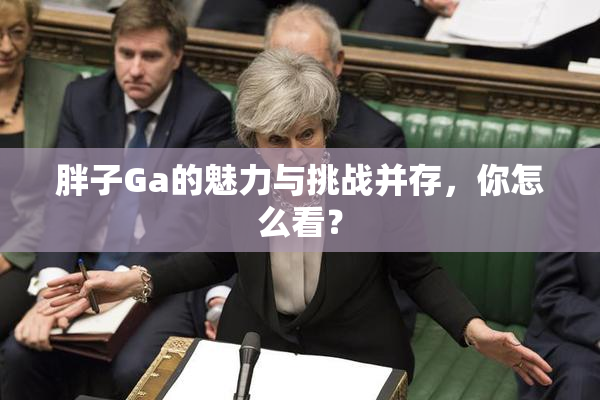 胖子Ga的魅力与挑战并存，你怎么看？