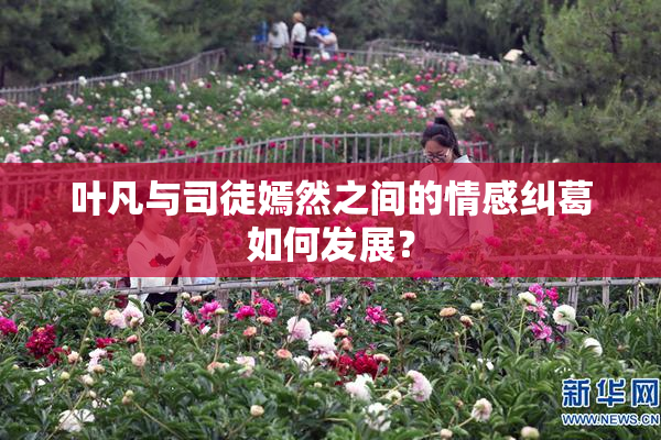 叶凡与司徒嫣然之间的情感纠葛如何发展？