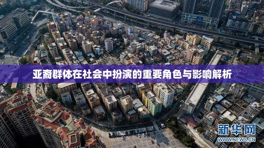 亚裔群体在社会中扮演的重要角色与影响解析