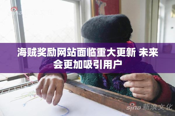 海贼奖励网站面临重大更新 未来会更加吸引用户