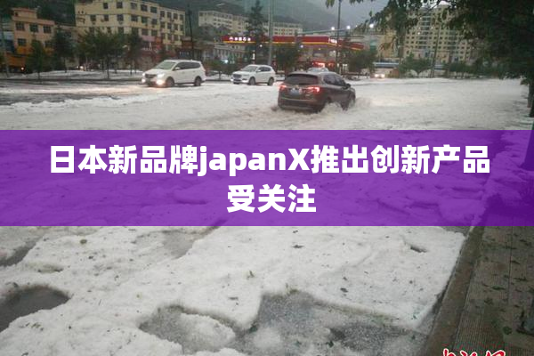 日本新品牌japanX推出创新产品 受关注