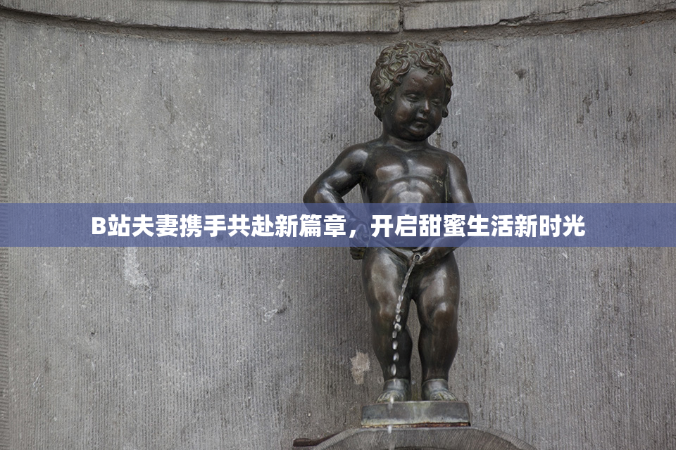 B站夫妻携手共赴新篇章，开启甜蜜生活新时光